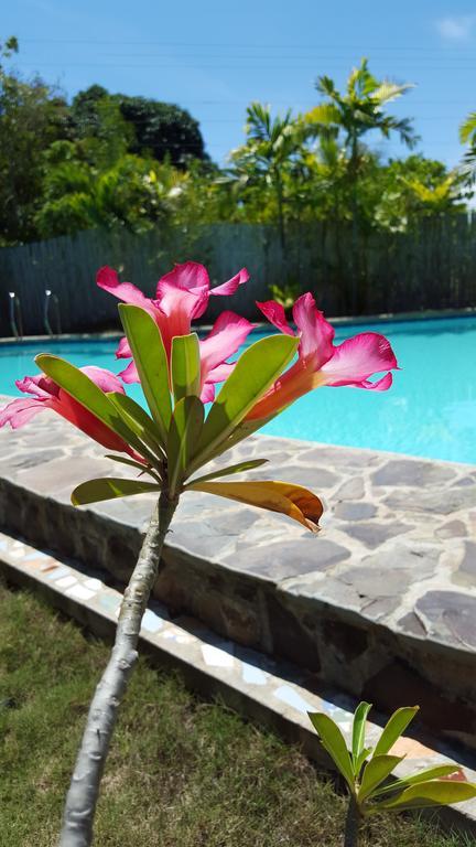 Villa Formosa Bohol Dış mekan fotoğraf